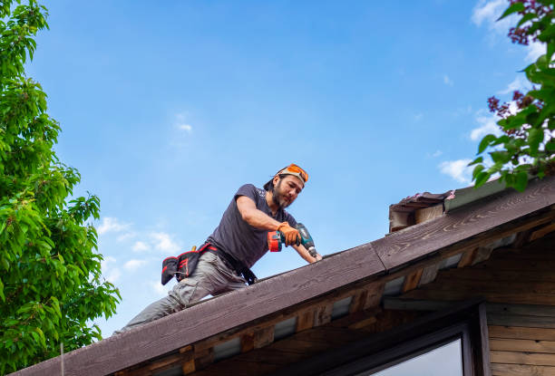 Best Metal Roofing Installation  in Sherman, TX