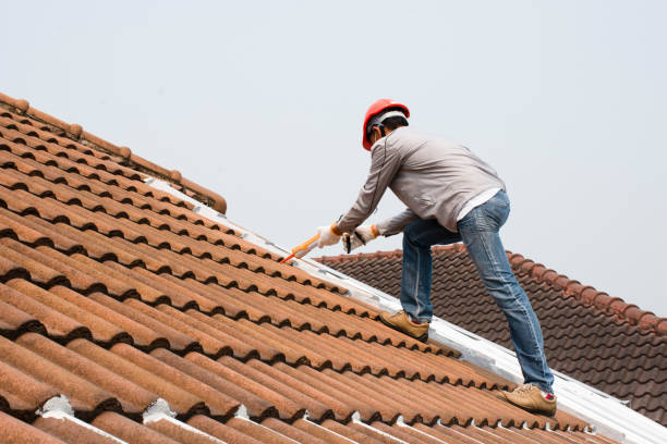 Best Roofing for New Construction  in Sherman, TX