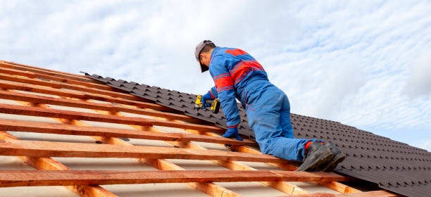 Best Sheet Metal Roofing  in Sherman, TX